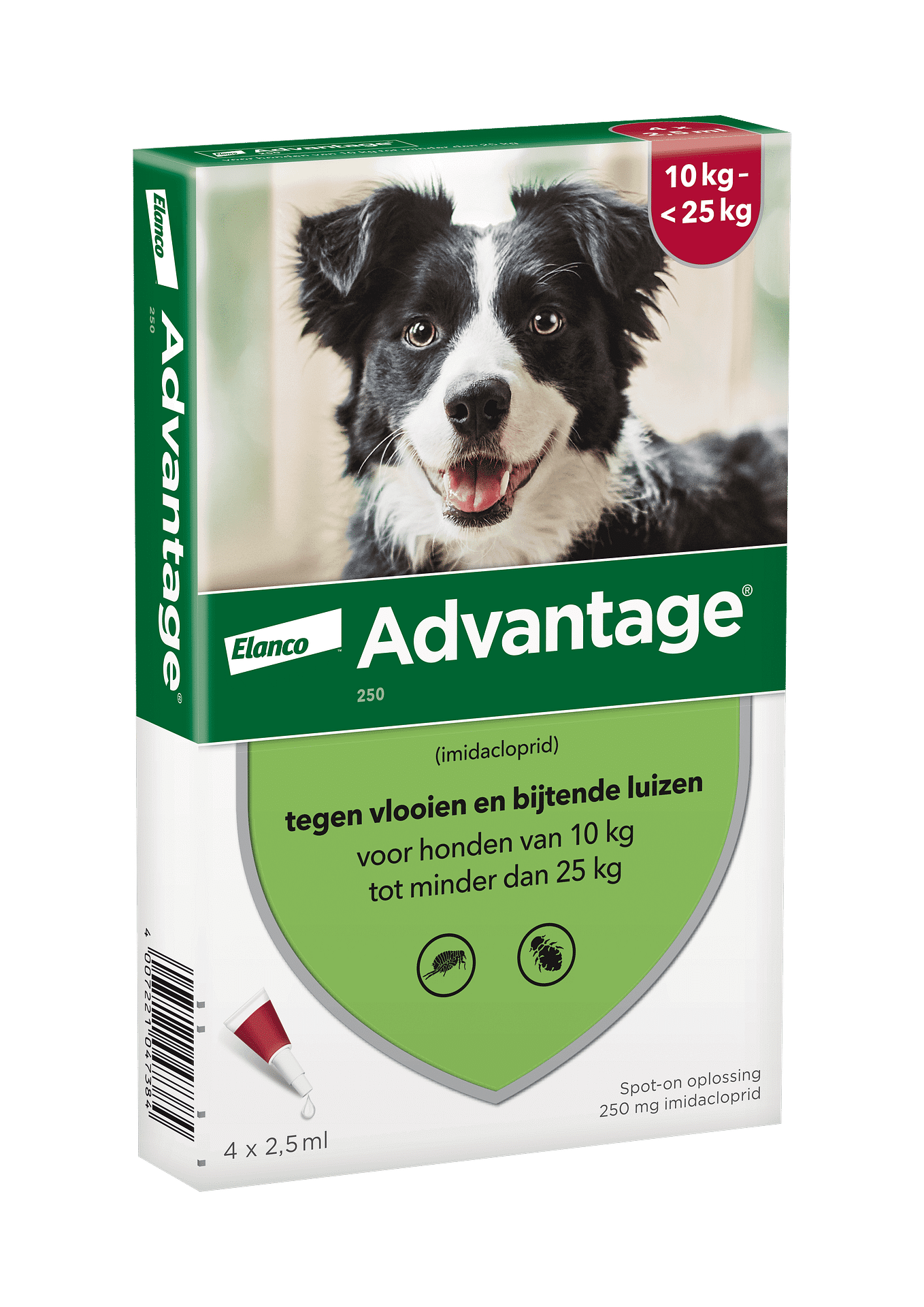 Advantage Hond-1