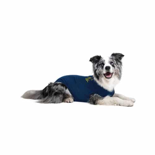 herwinnen Opgewonden zijn Snel Medical Pet Shirt Hond kopen? Veilig en betrouwbaar bestellen!