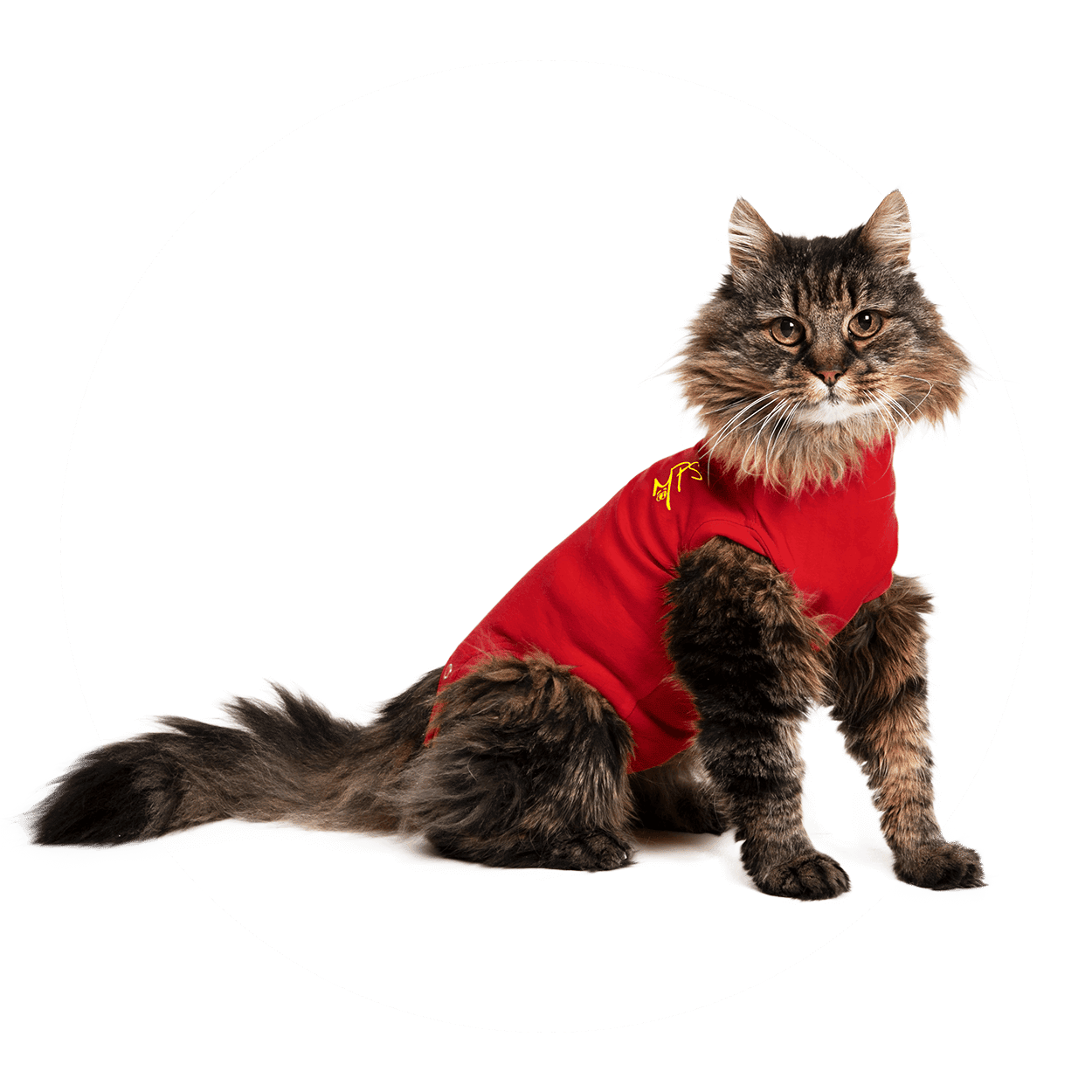 Rafflesia Arnoldi stem Buurt Medical Pet Shirt Kat kopen? Veilig en betrouwbaar bestellen!