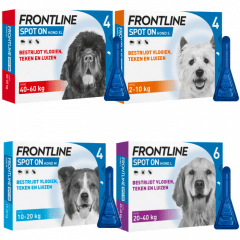Haringen Mammoet voormalig Frontline Spot-On hond kopen? Veilig en betrouwbaar bestellen!