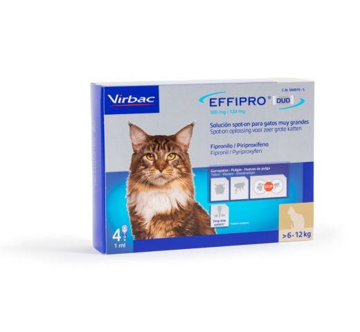 Retoucheren Alsjeblieft kijk Collega Effipro Duo Spot-on Kat kopen? Veilig en betrouwbaar bestellen!