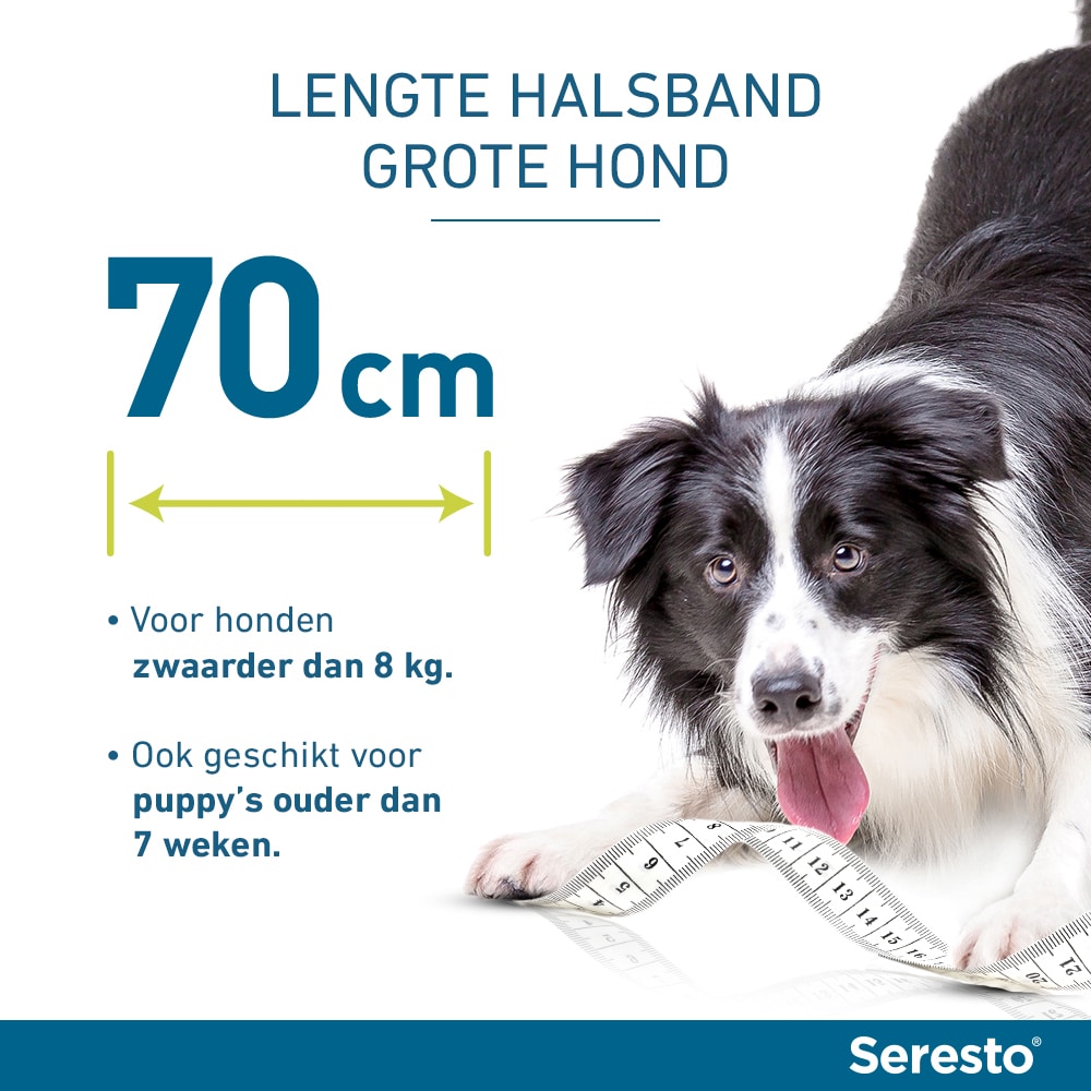 Relatie berouw hebben worm Seresto Vlooien- en Tekenband Hond kopen? Veilig en betrouwbaar bestellen!