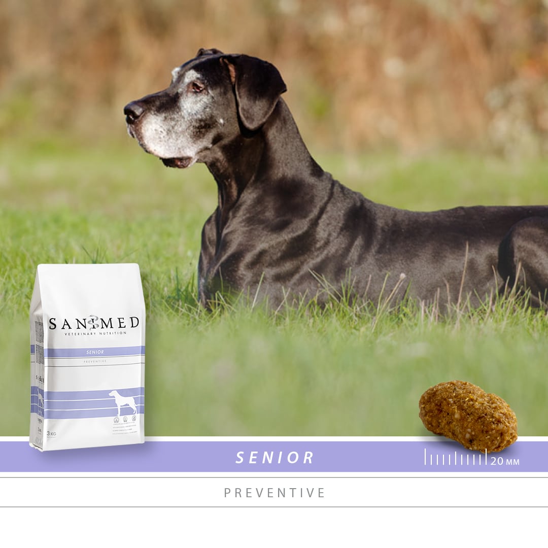 Sanimed Senior hond-2