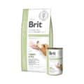 Brit Veterinary Diet Diabetes Hond